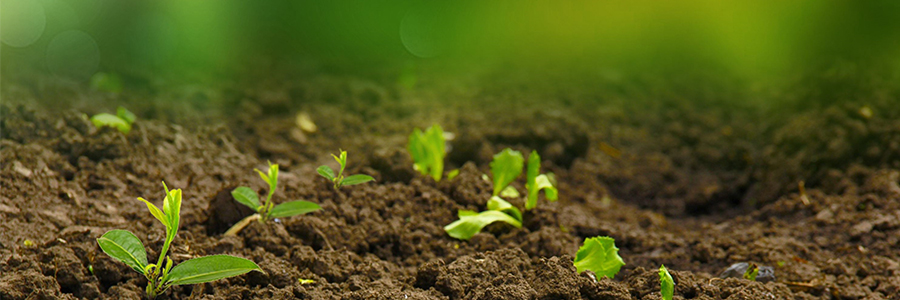 固體廢物、土壤和沉積物